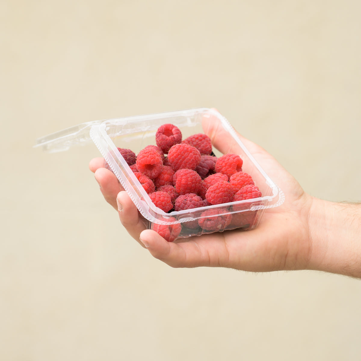 Raspberries – Adelaide Fruit and Vegetable Delivery