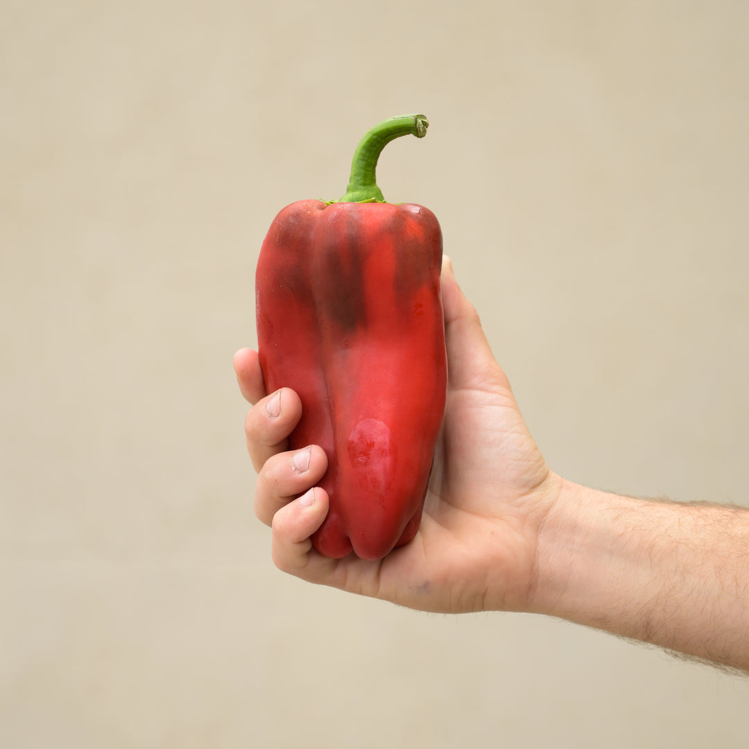 Red Capsicum – Adelaide Fruit and Vegetable Delivery